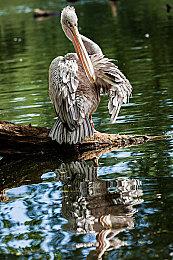 《索尼克：未知边境》生日派对更新加入新游戏+模式